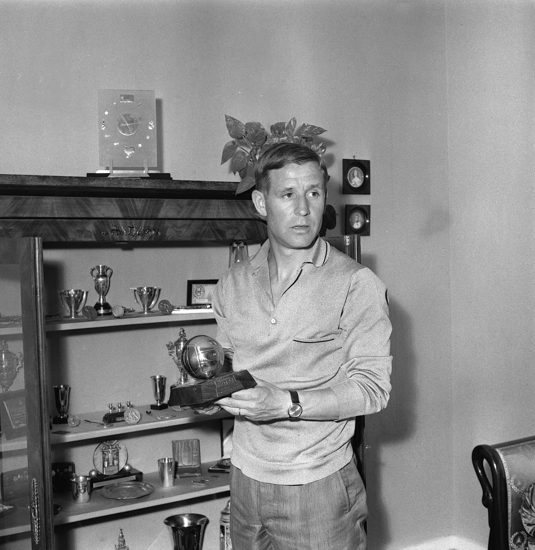 Raymond Kopawith Trophies Background