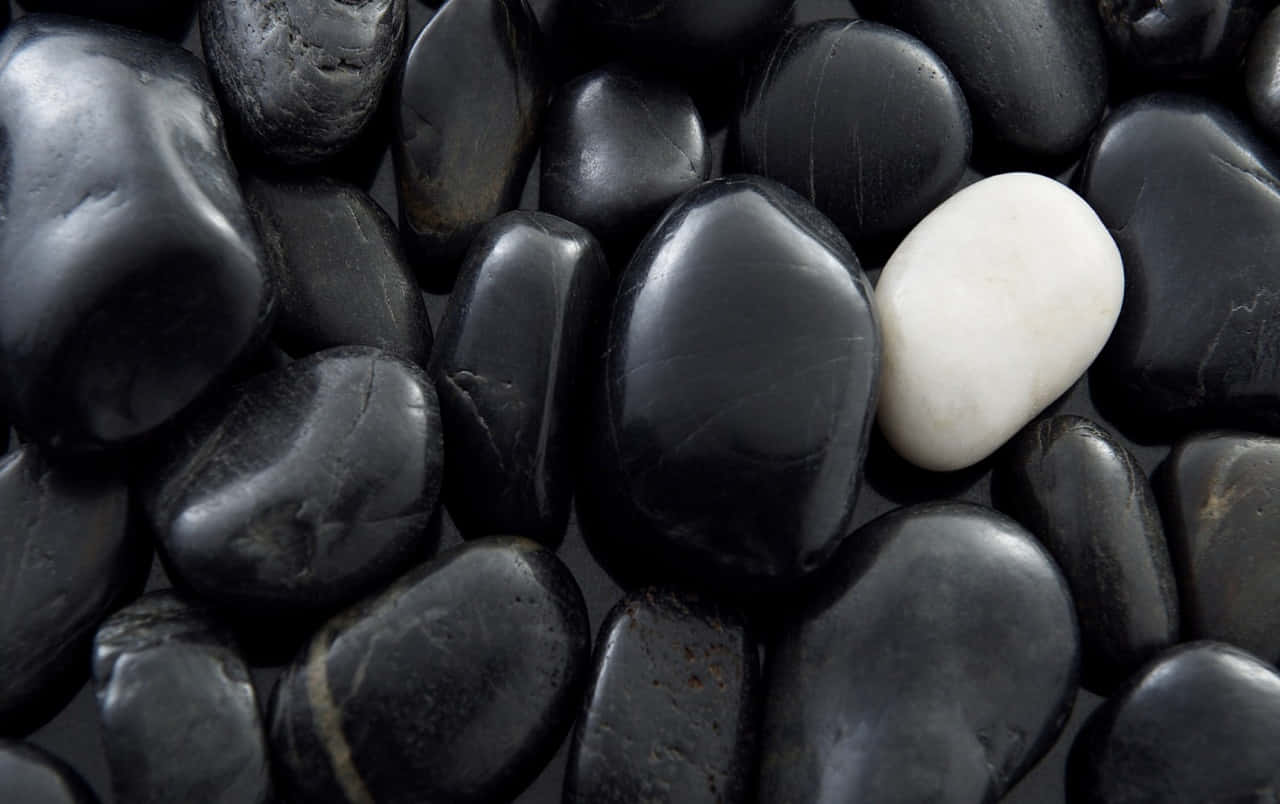 Rays Of Light Illuminate A Misty Landscape Background