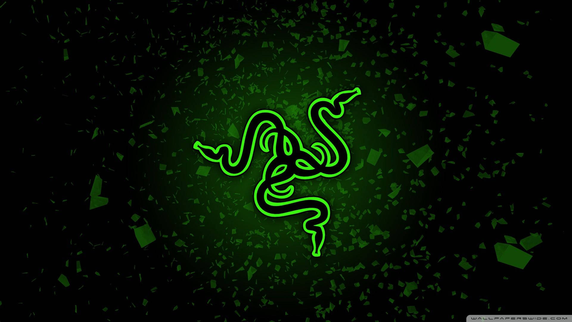 Razer Chroma Green Background