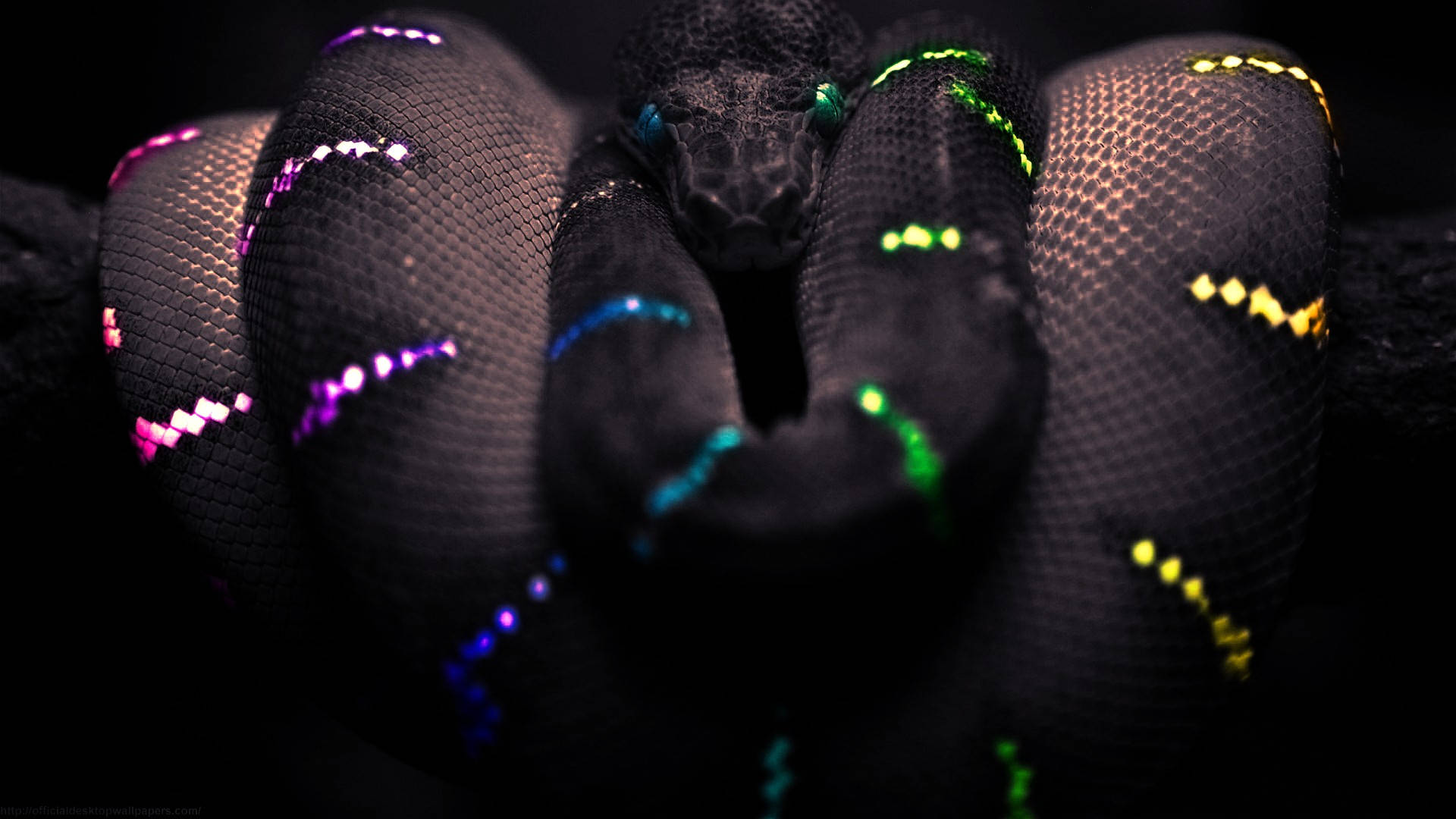 Razer Snake In Neon 4k Background
