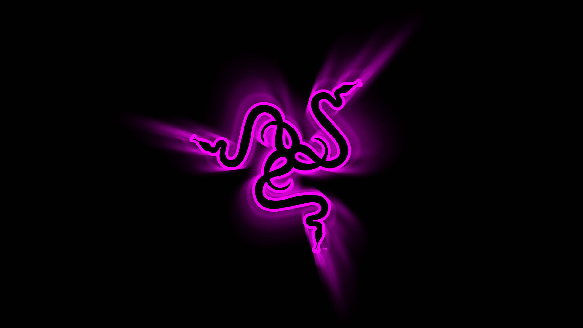 Razer Violet Chroma Background