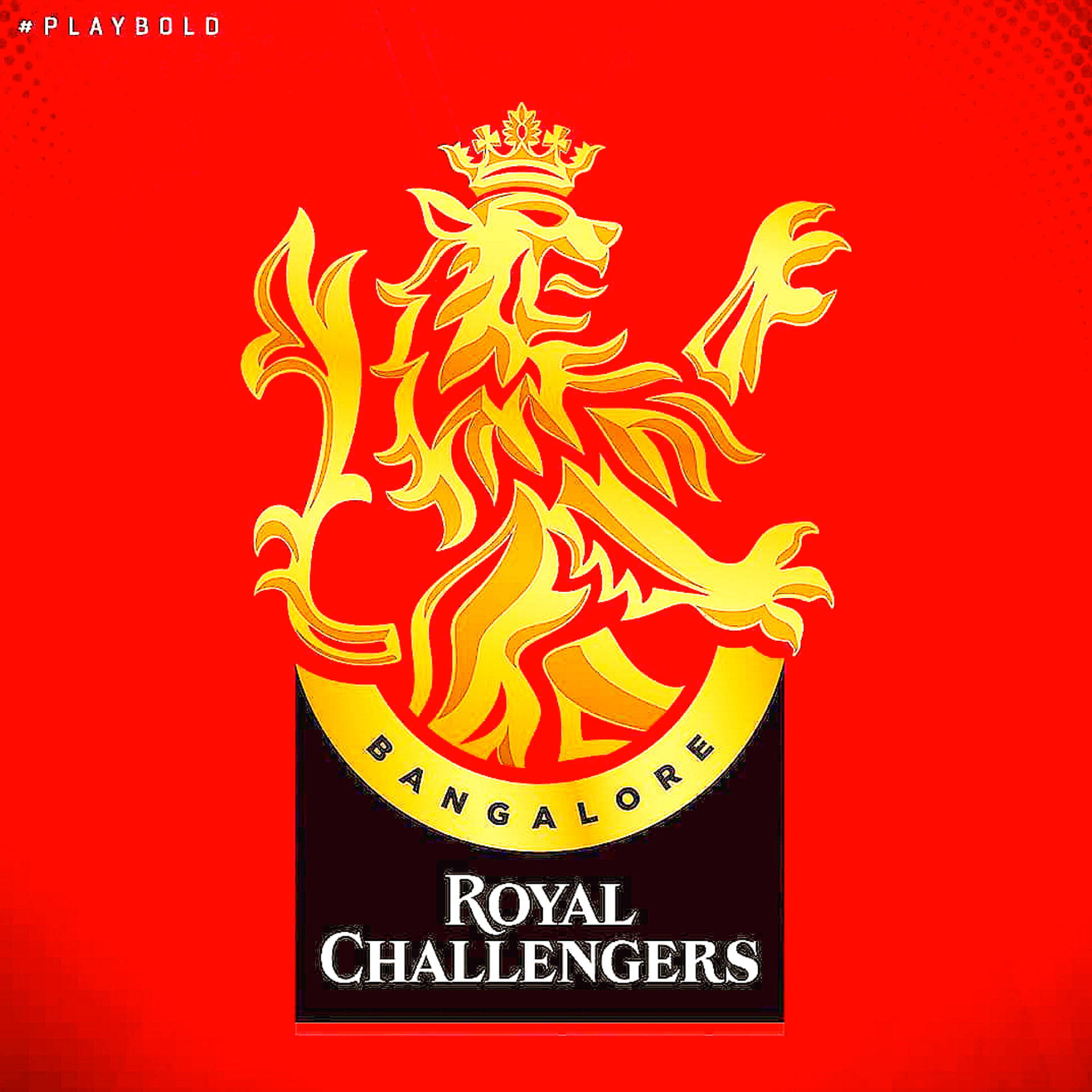 Rcb Golden Lion Cricket Logo By Wallpapers Background
