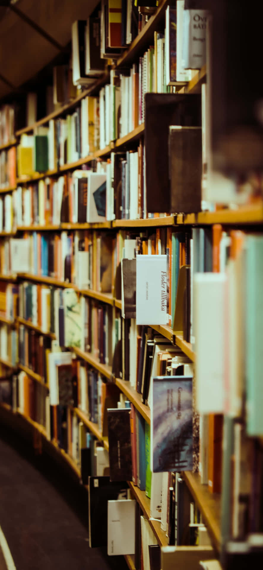 Read The Books, Unlock The Mysteries