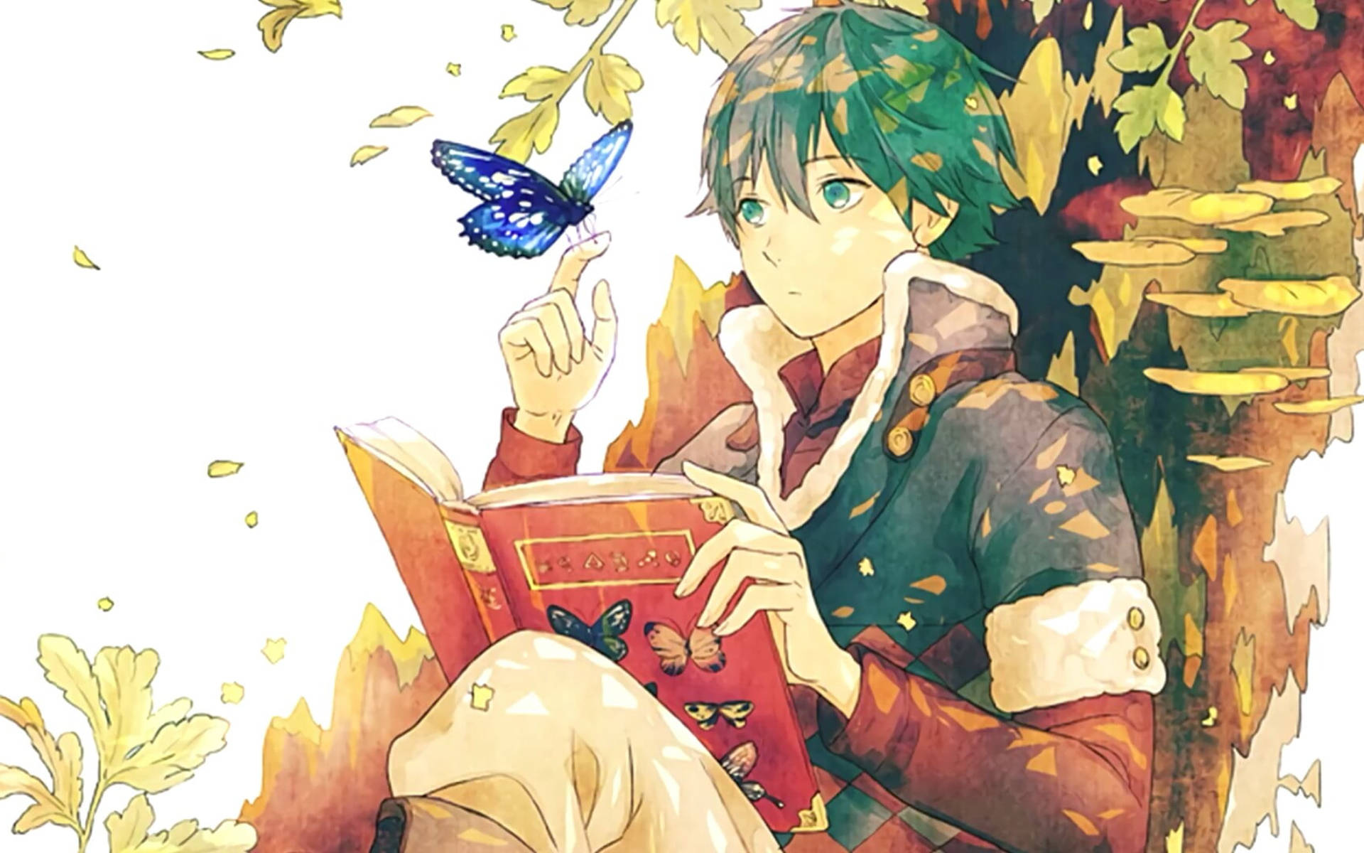 Reading Anime Boy