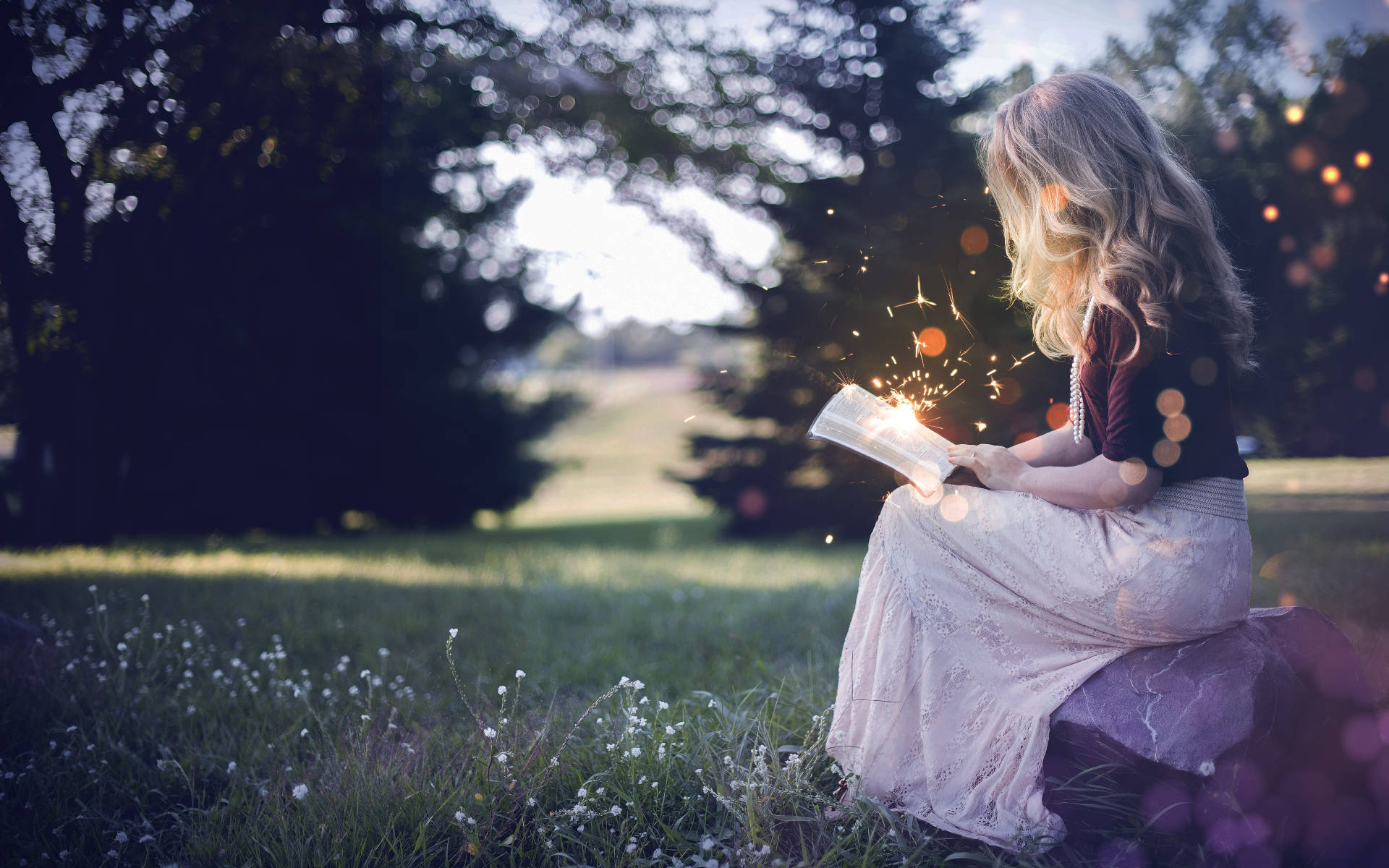 Reading Girl In Field Focus Photography Background