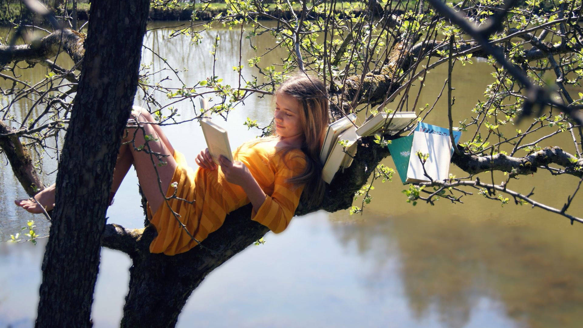 Reading Woman On Tree Background