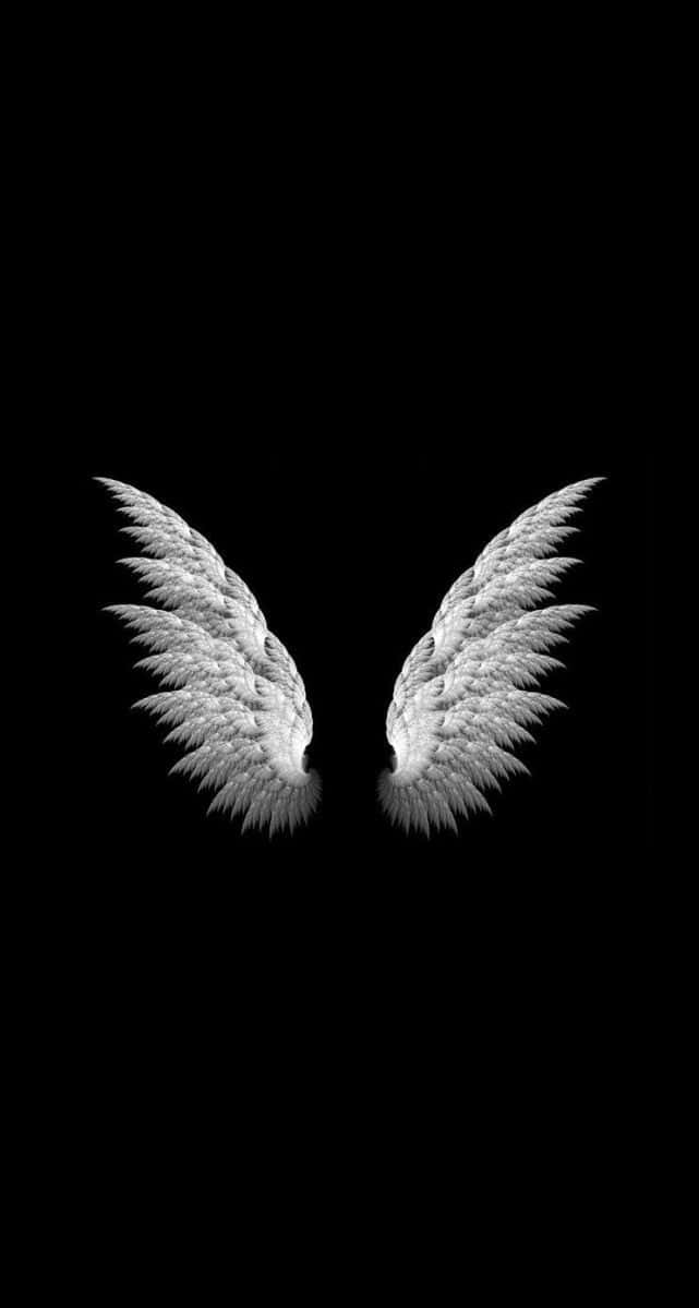 Ready To Fly Background