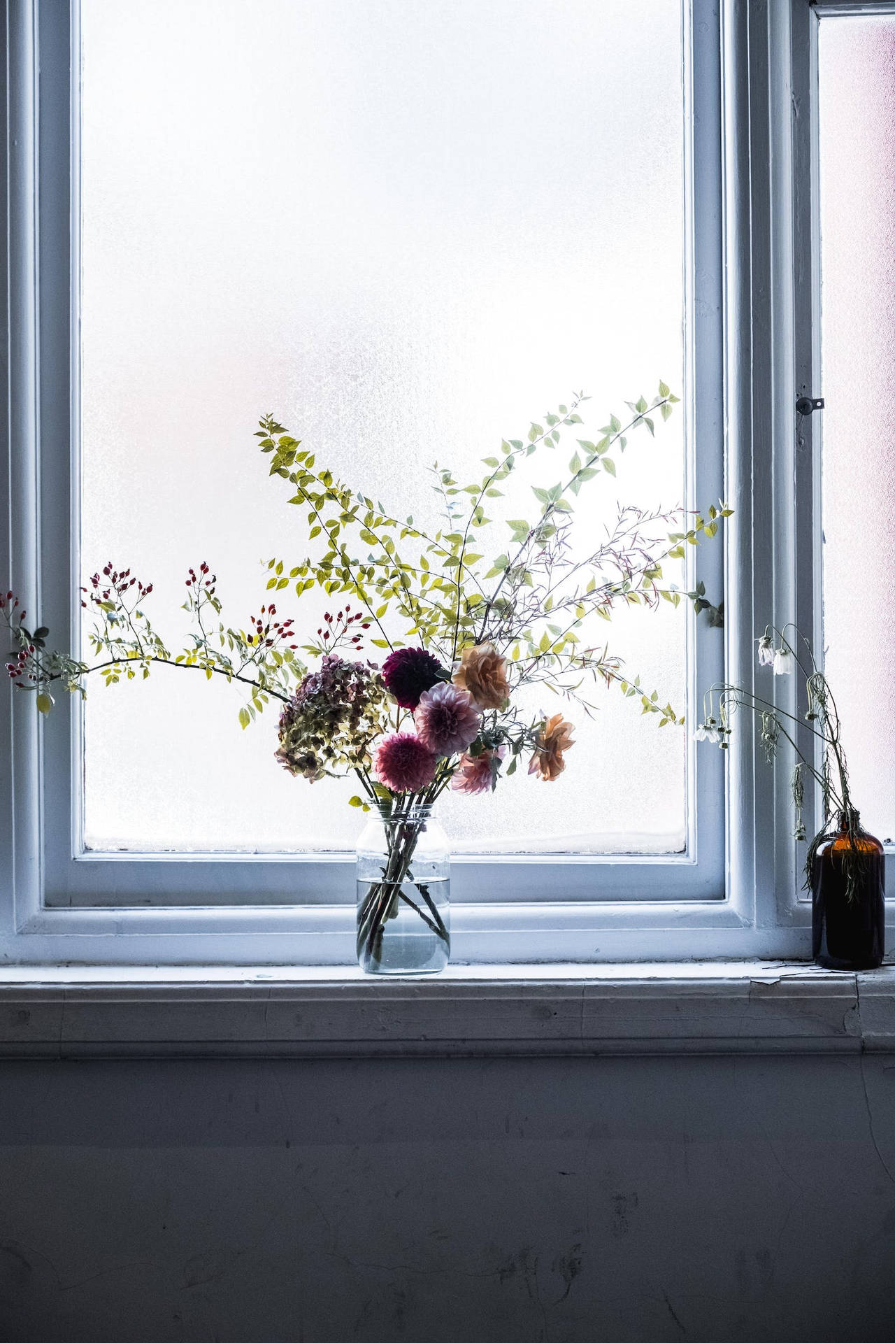 Real Floral In Window Background