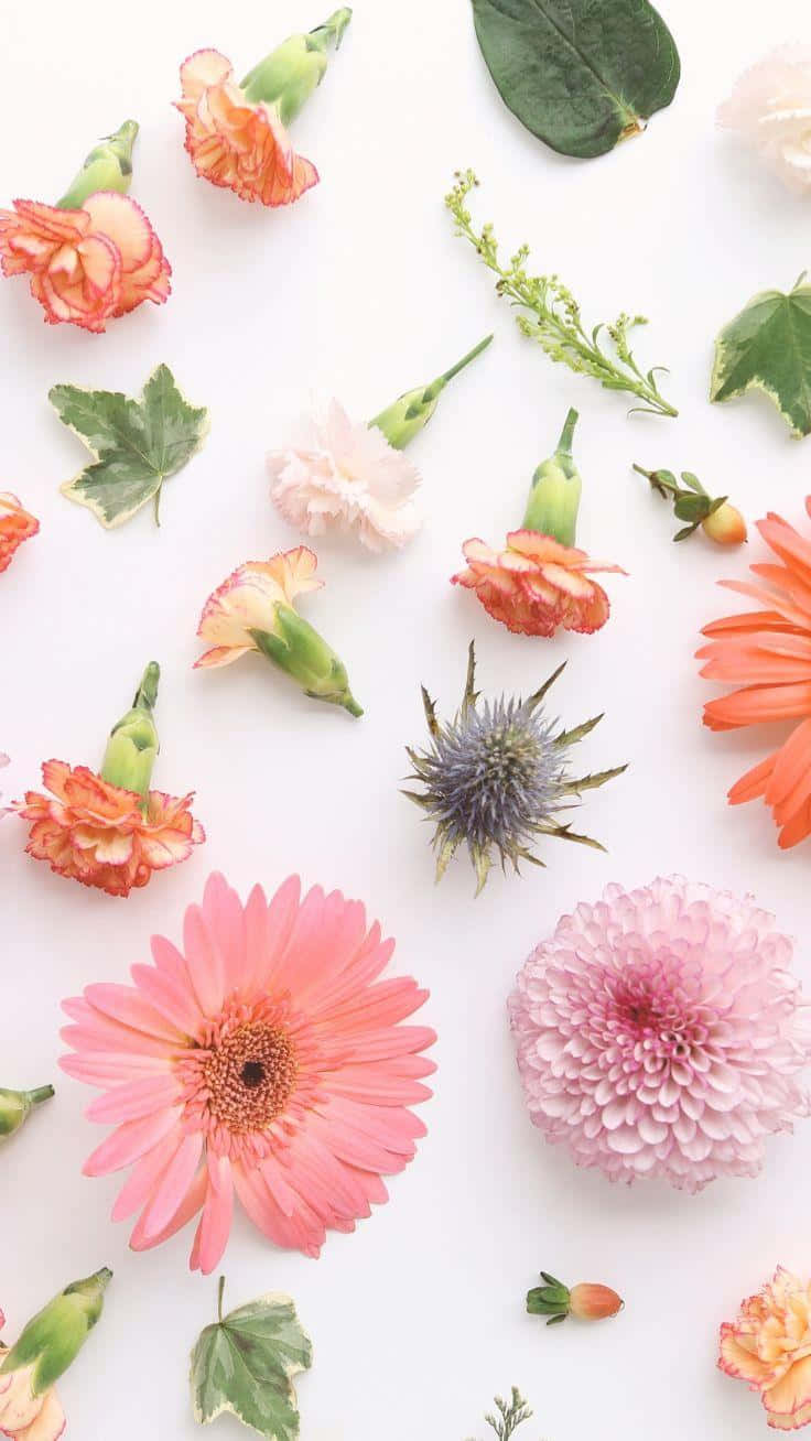 Real Flowers Pattern Cute Floral Background