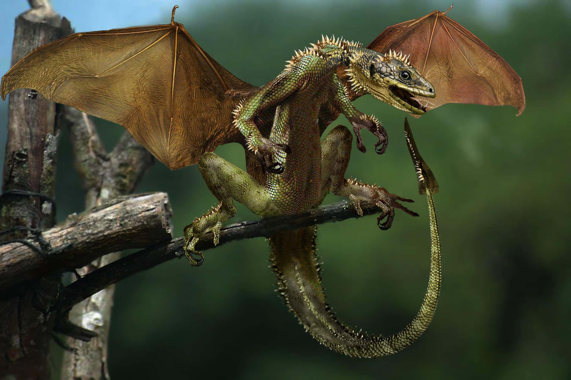 Real Green Scary Dragon Background