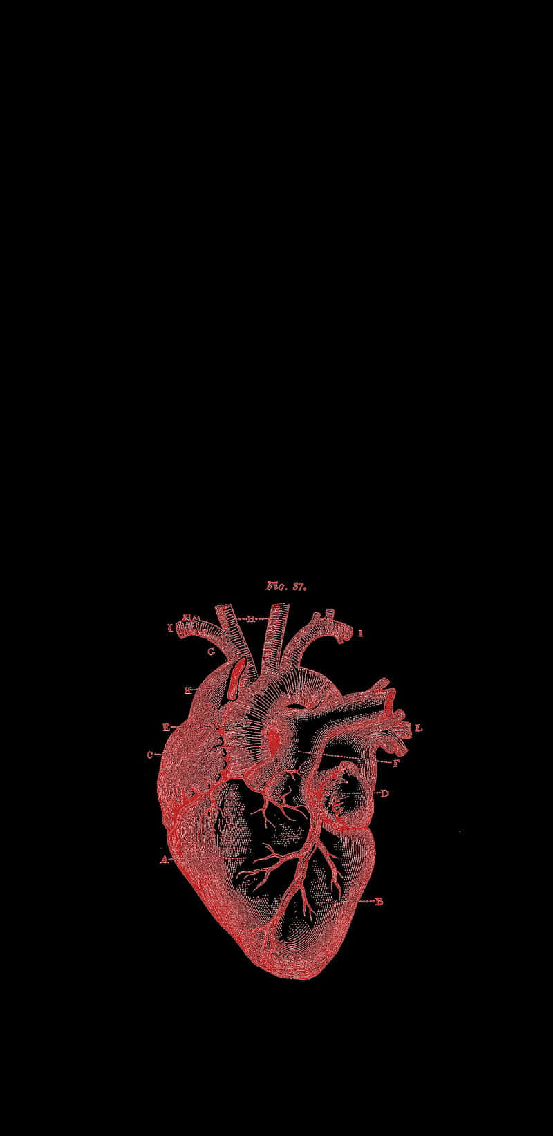 Real Heart Black Heart Iphone Background