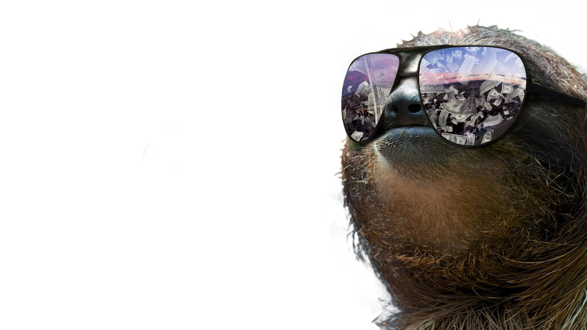 Real Sloth Wearing Sunglasses Background