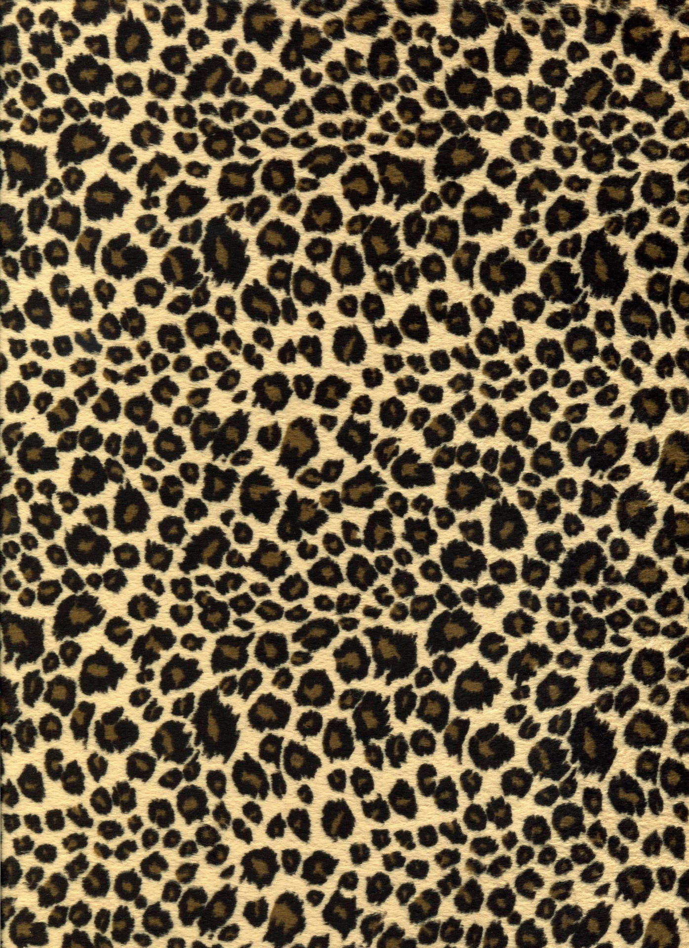 Realistic Cheetah Print Background