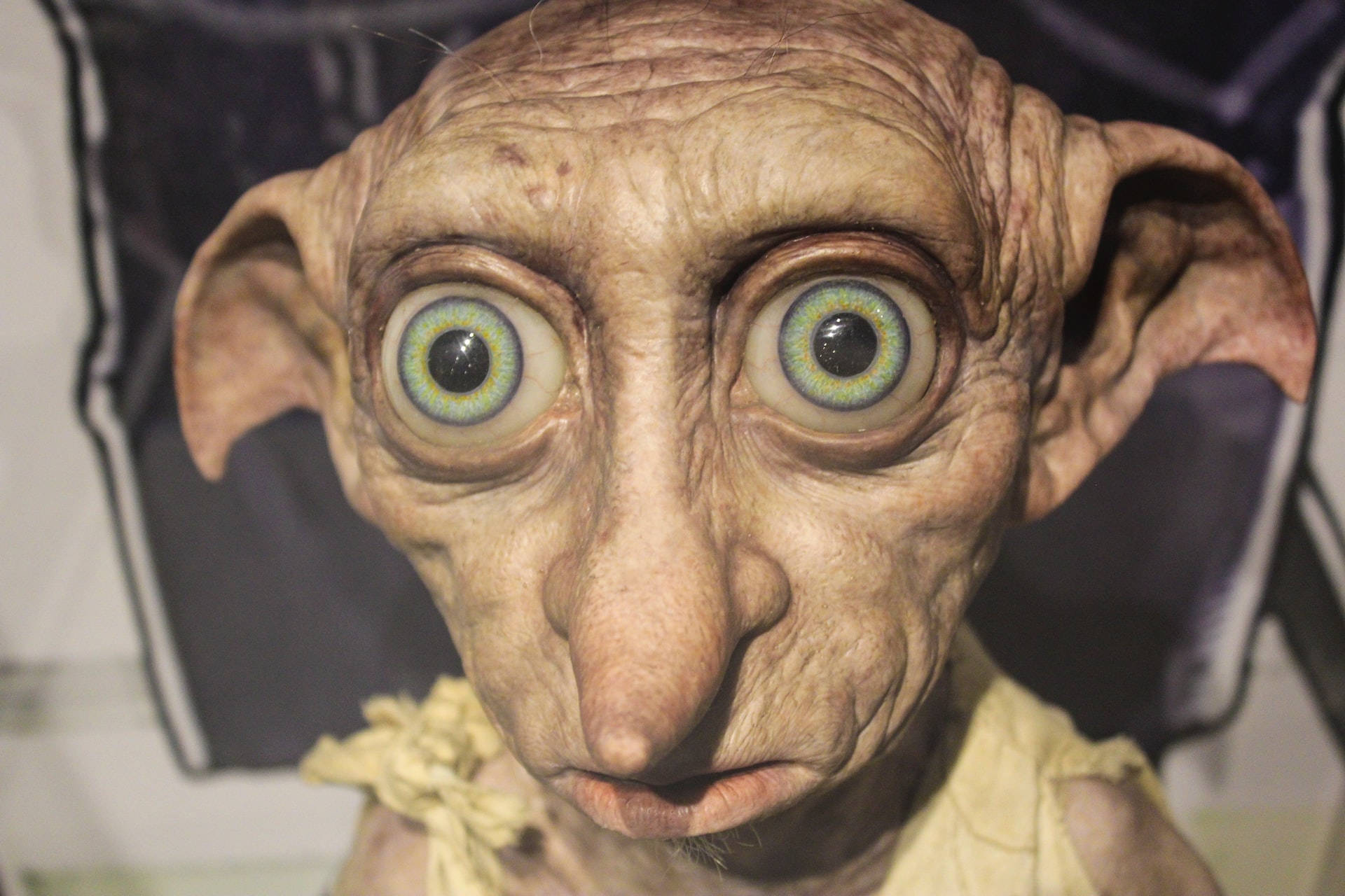 Realistic Dobby Head From Harry Potter