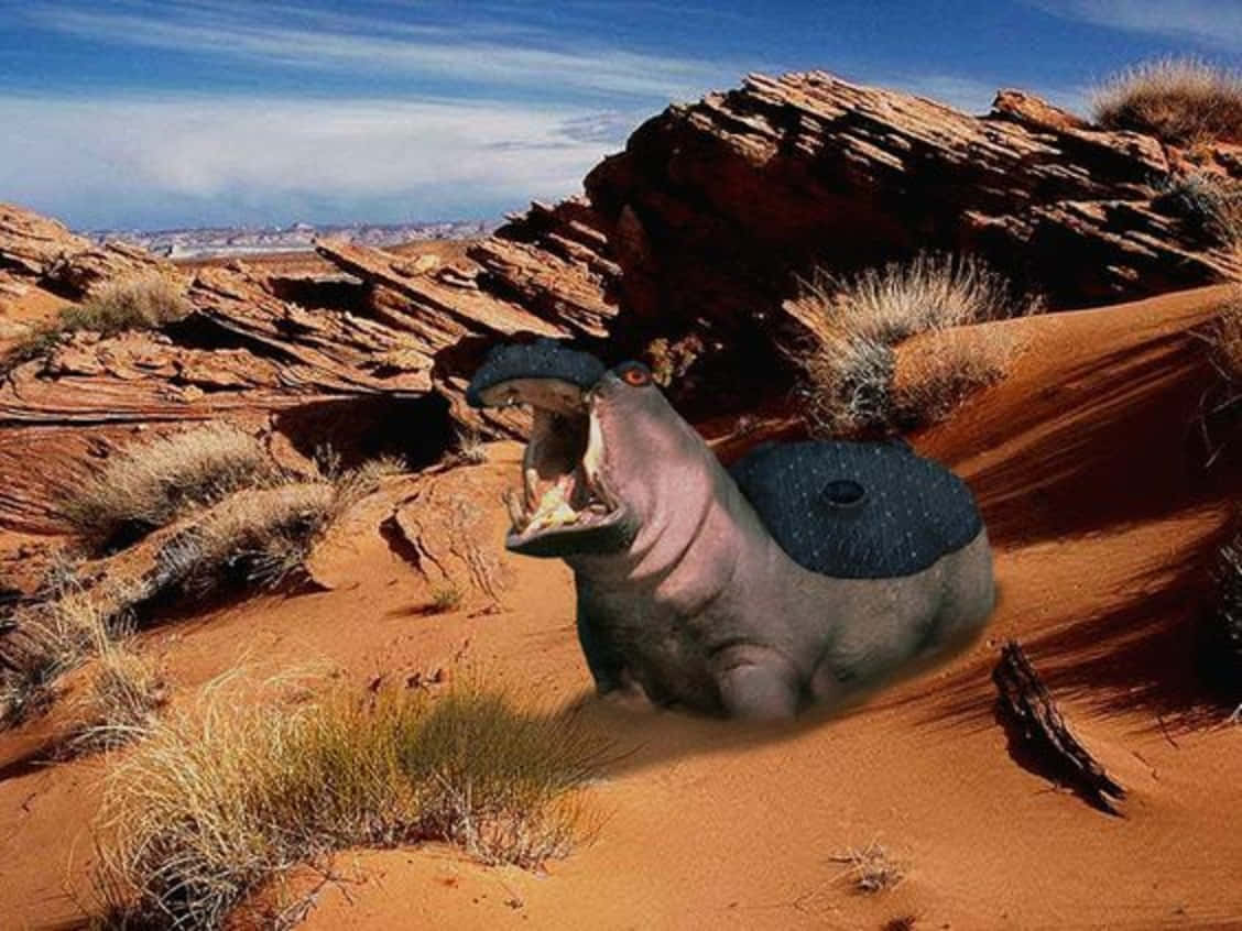 Realistic Photo Of Hippowdon Background
