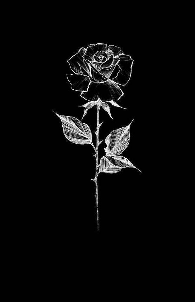 Realistic Stencil Illustration Black Rose Iphone Background