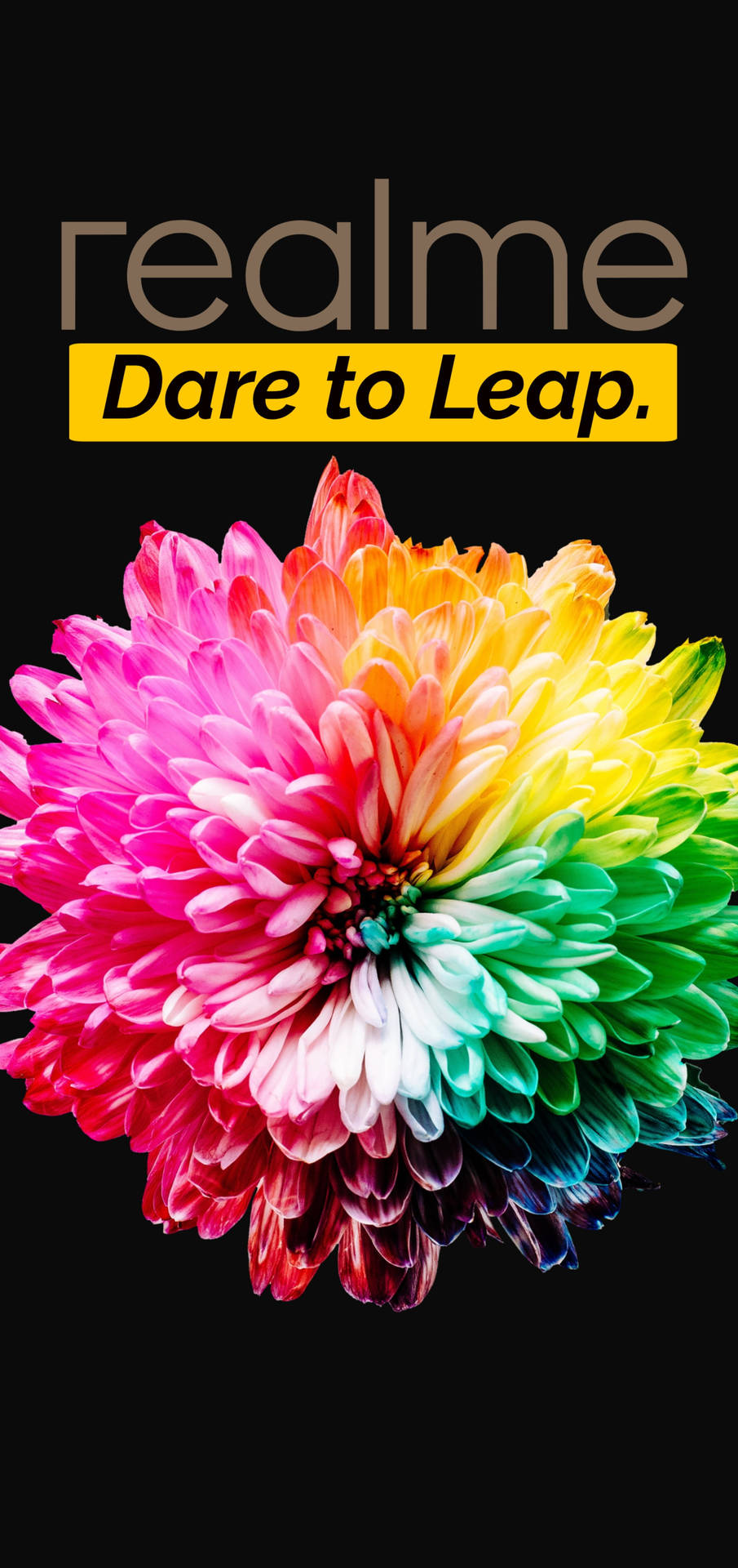 Realme 6 Punch Hole Flower Dare To Leap Background