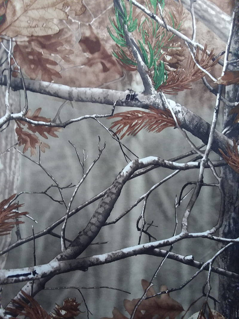 Realtree Hunting Camo Background