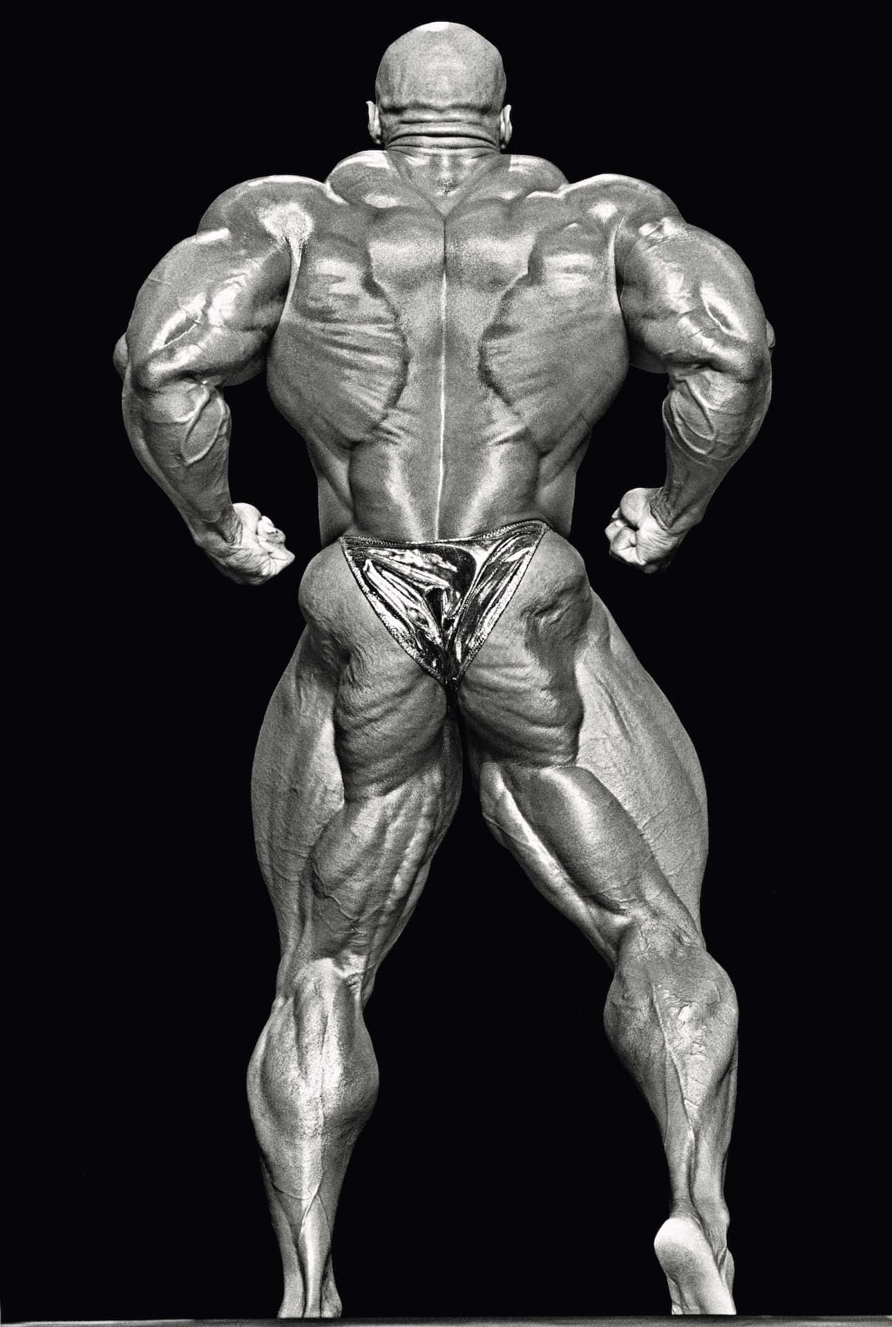 Rear Double Biceps Pose Of Ronnie Coleman Background