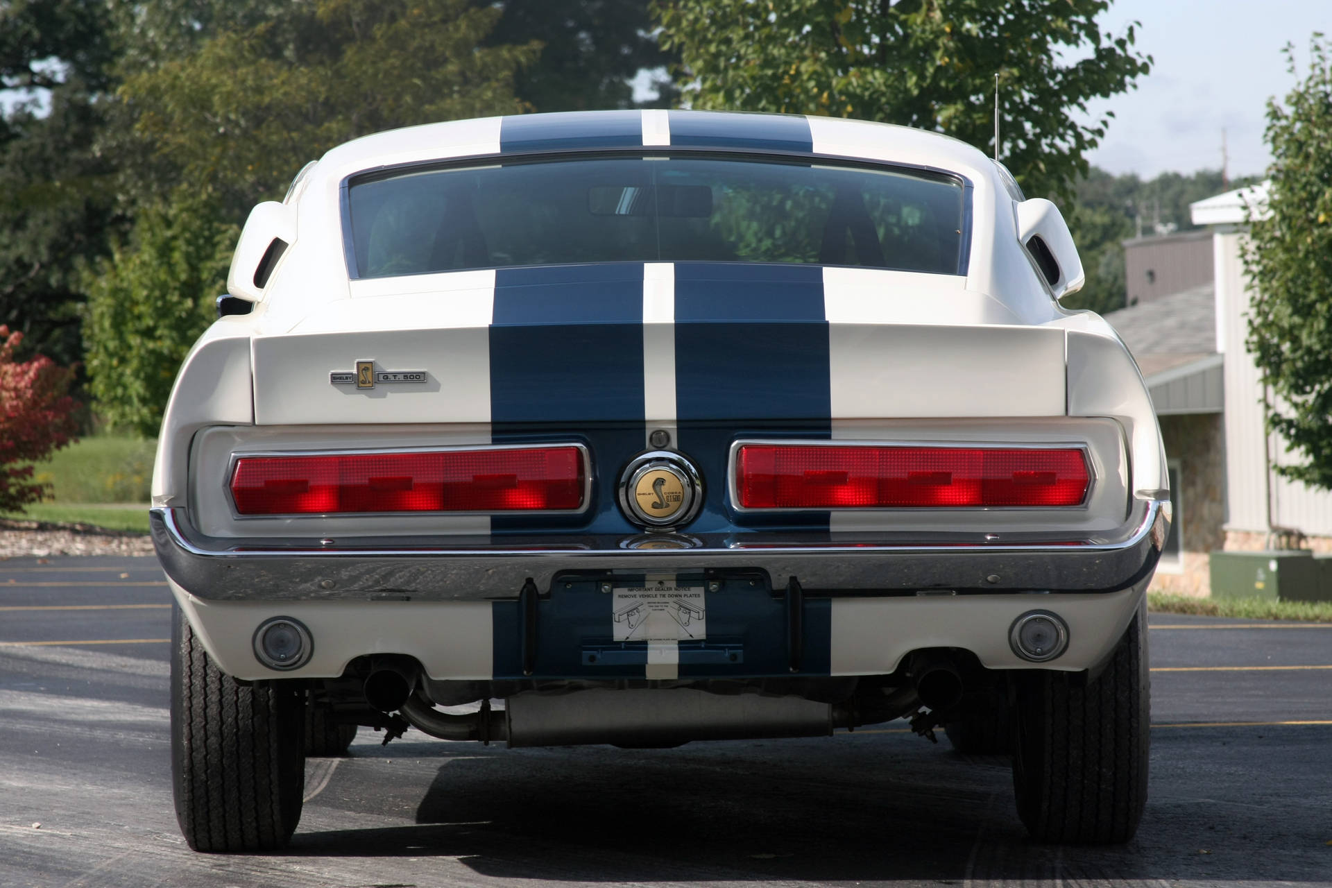 Rear Of Shelby Iphone Background