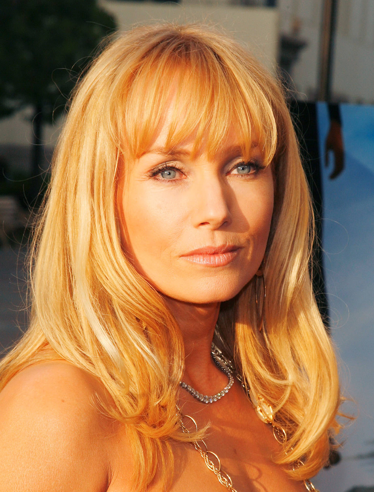 Rebecca De Mornay John From Cincinnati Premiere Background