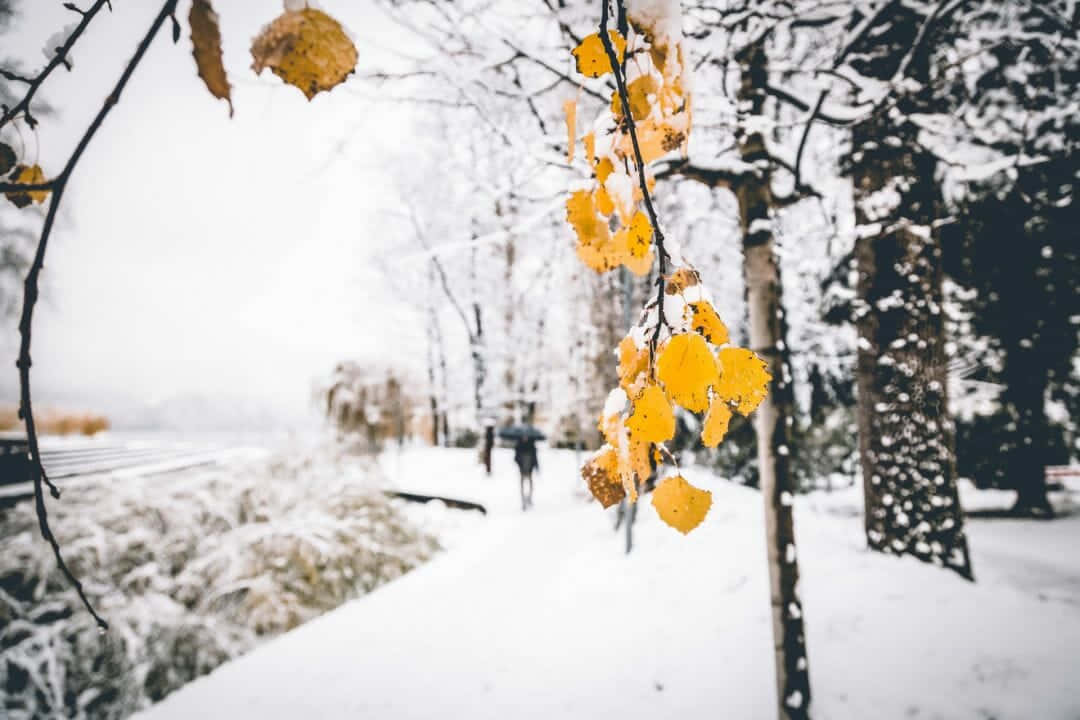 Rebuilding In Snowfall Background