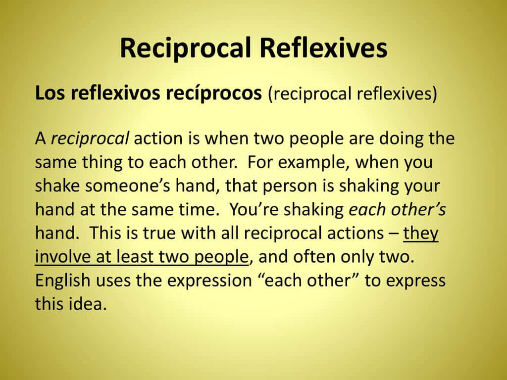 Reciprocal Reflexives Educational Slide