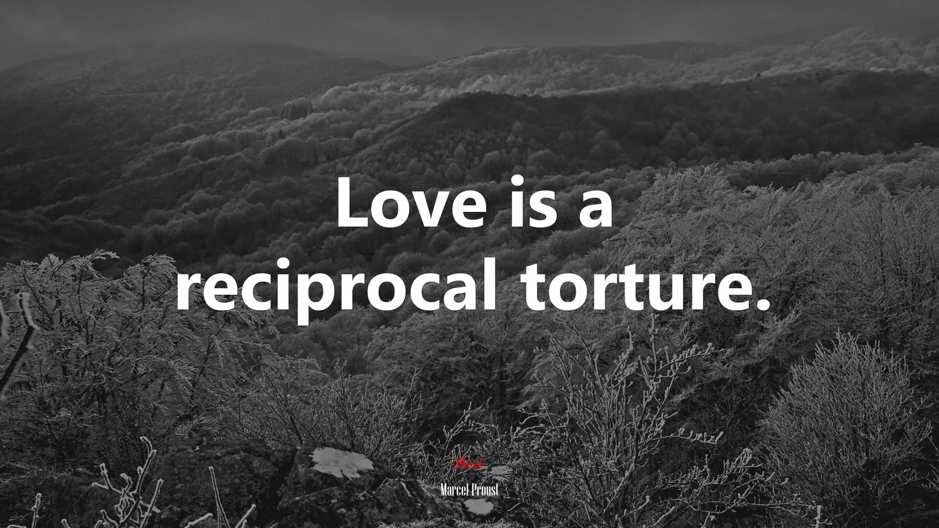 Reciprocal Torture Love Quote