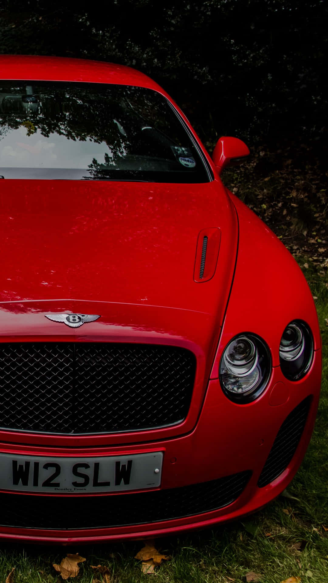 Red 2013 Bentley Iphone Background