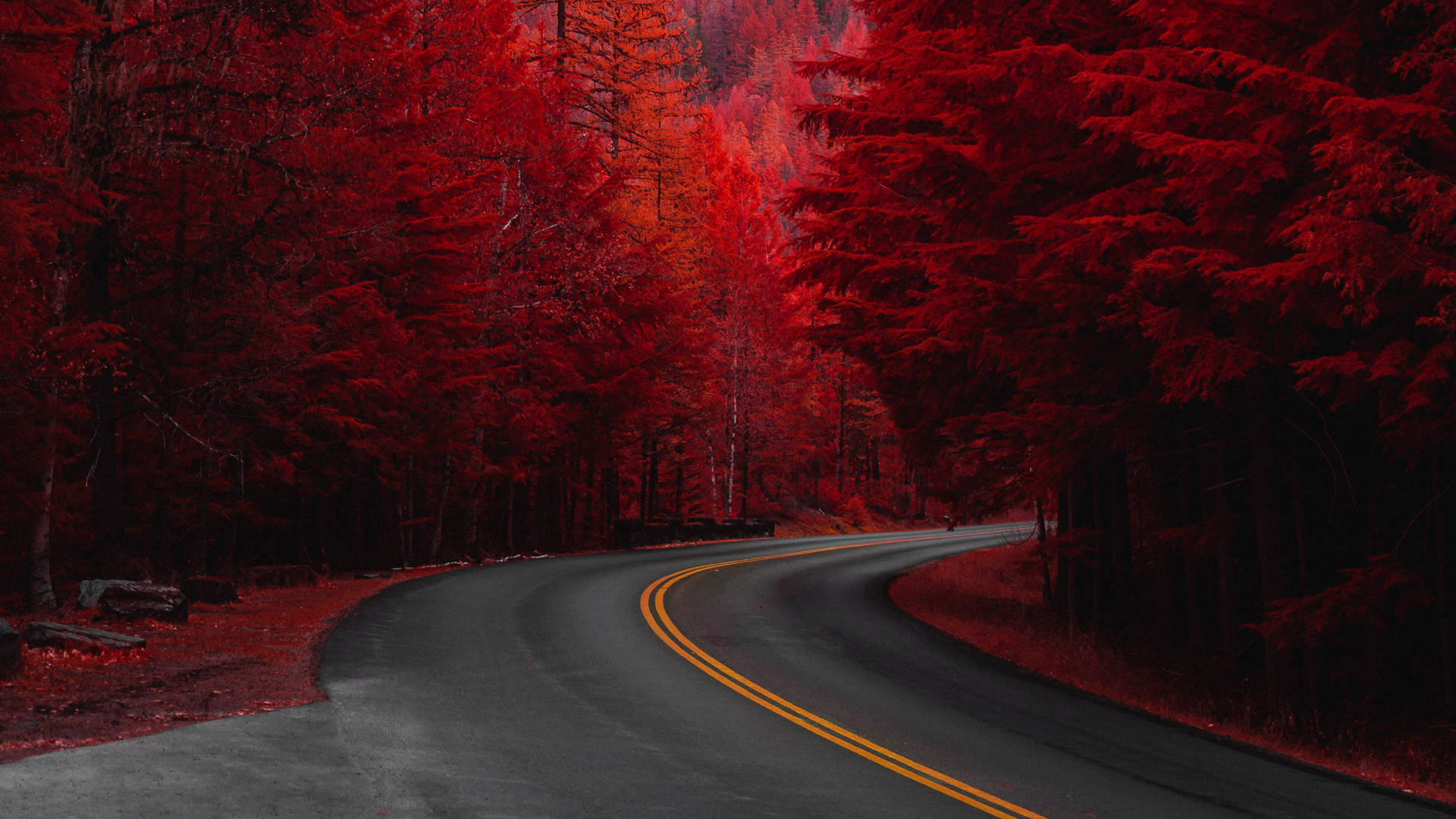 Red 4k Uhd Road Pine Trees Background