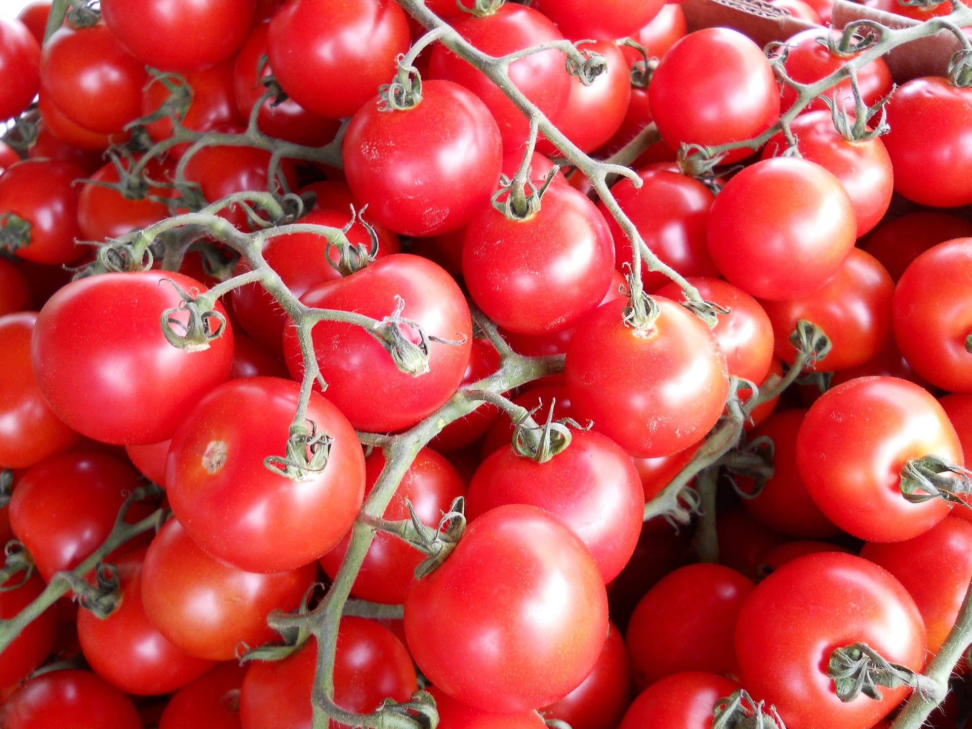 Red 4k Uhd Small Tomatoes