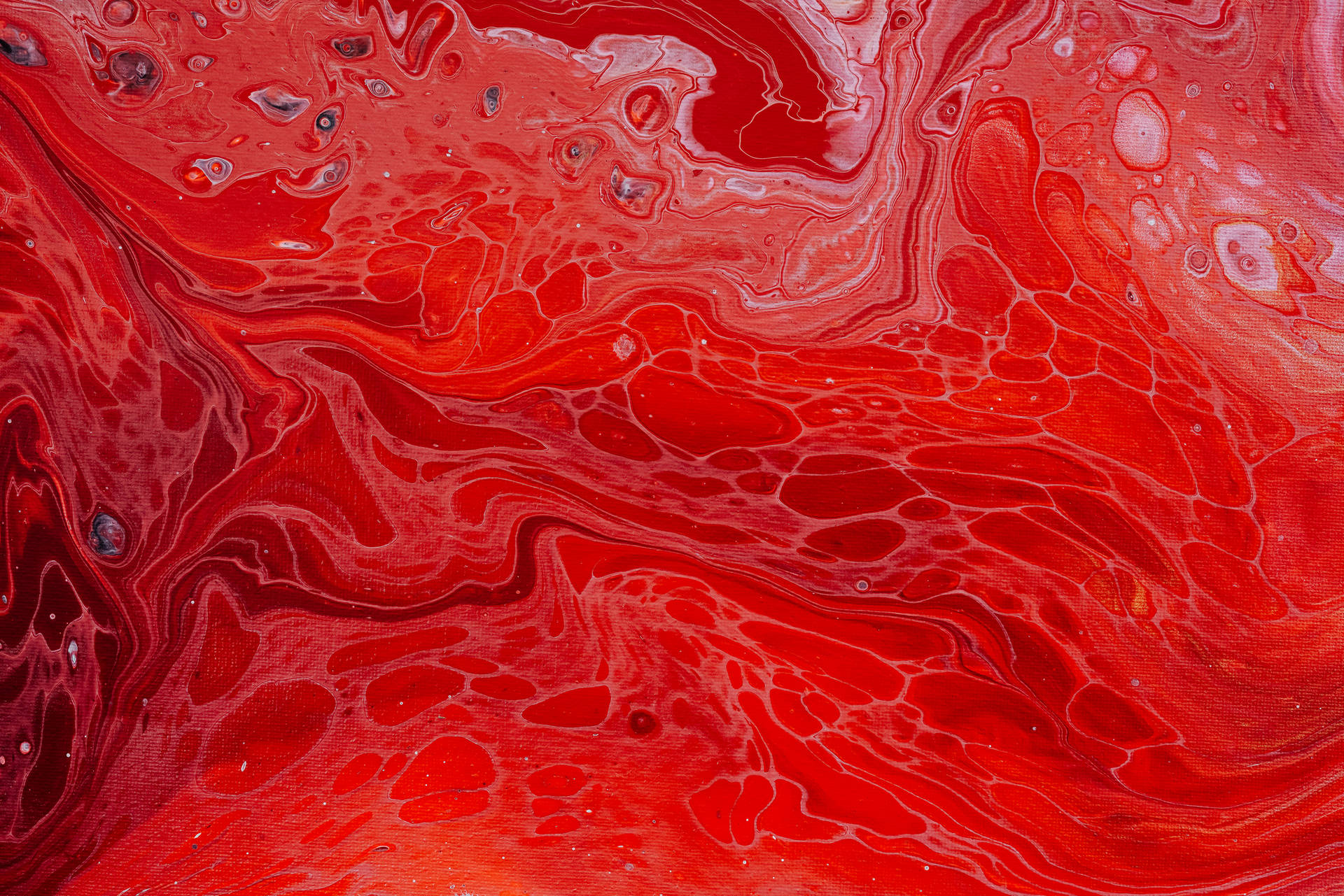 Red Abstract Fluid Painting Background