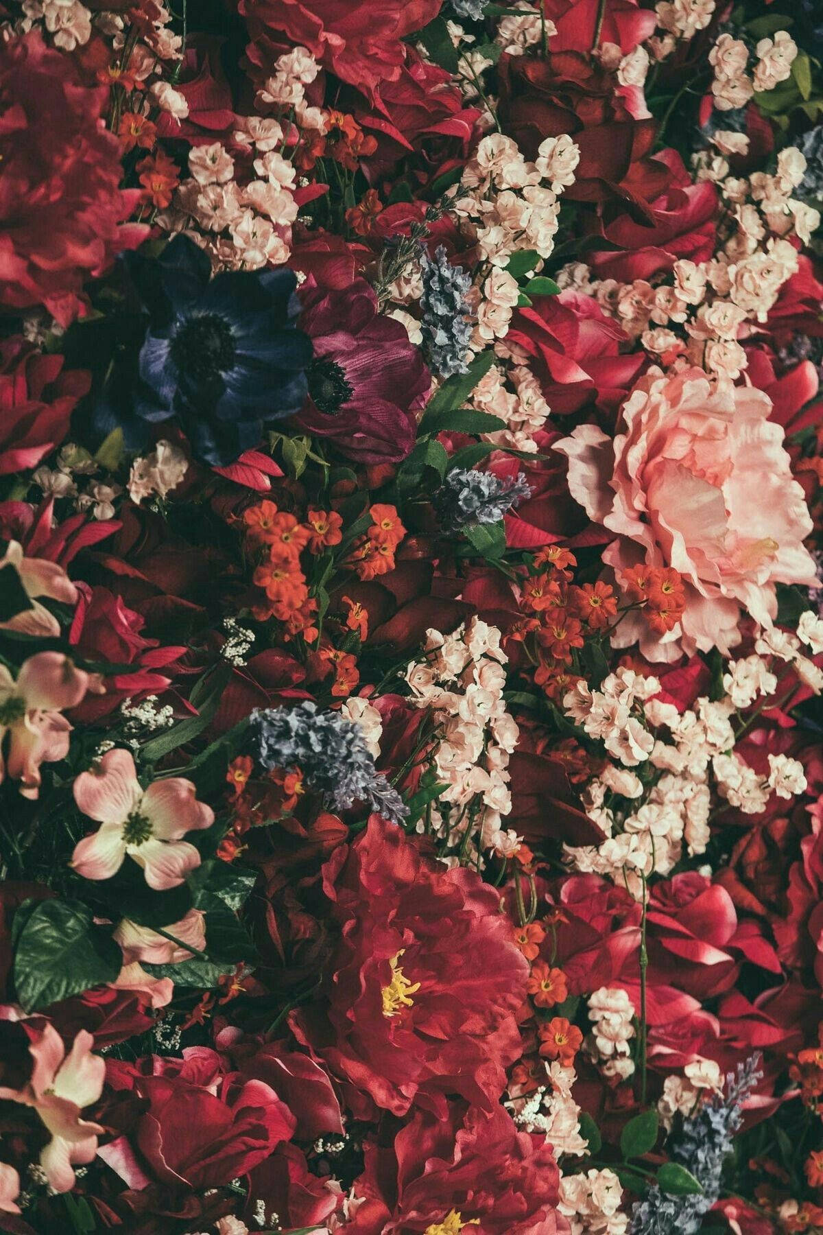 Red Aesthetic Floral Arrangement Background