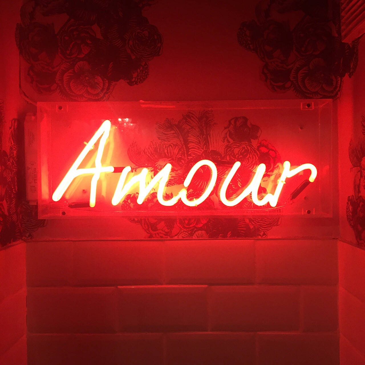 Red Aesthetic Neon Amour Background