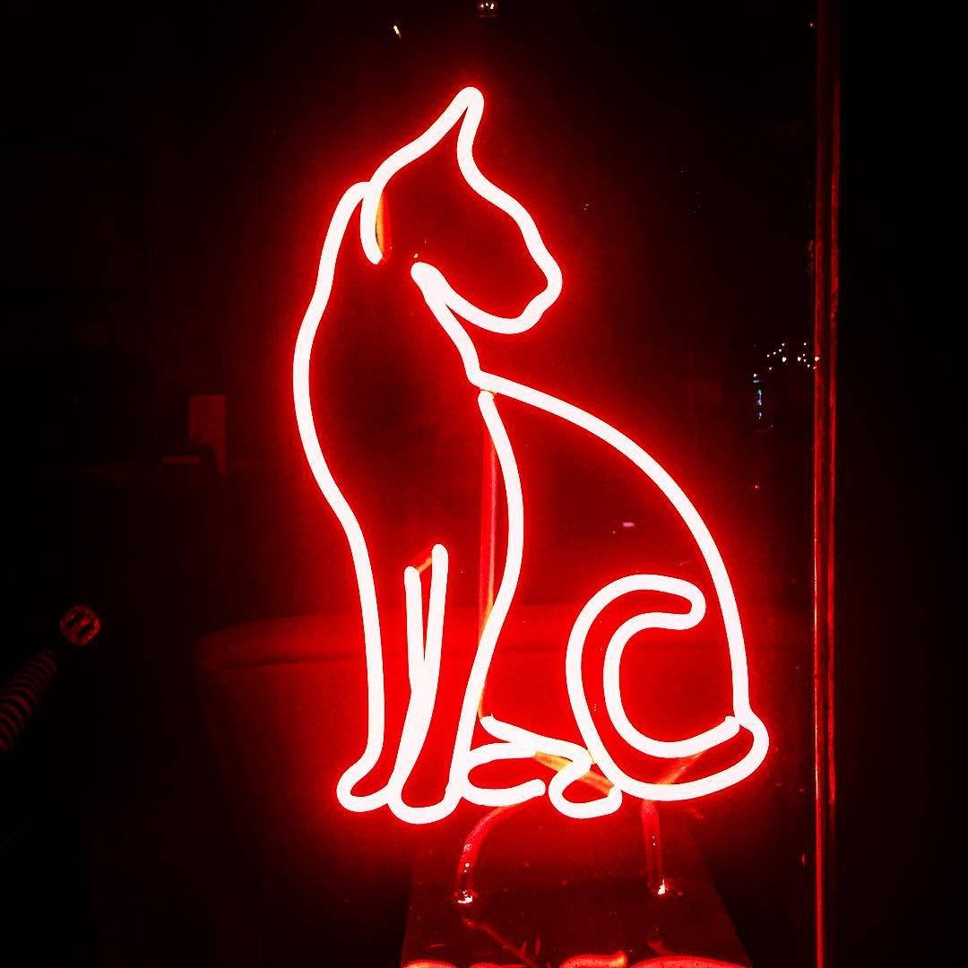 Red Aesthetic Neon Cat Light Background