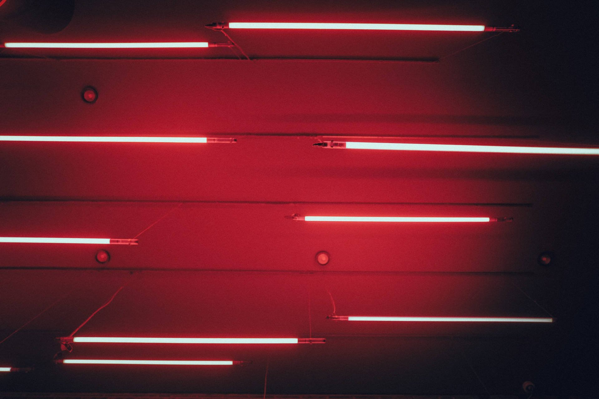 Red Aesthetic Neon Light Lines Background