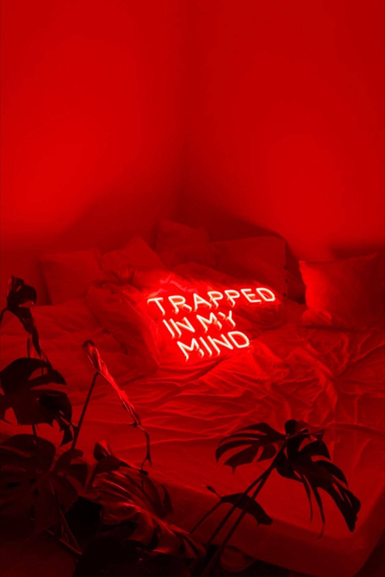 Red Aesthetic Neon Mind Trap Background