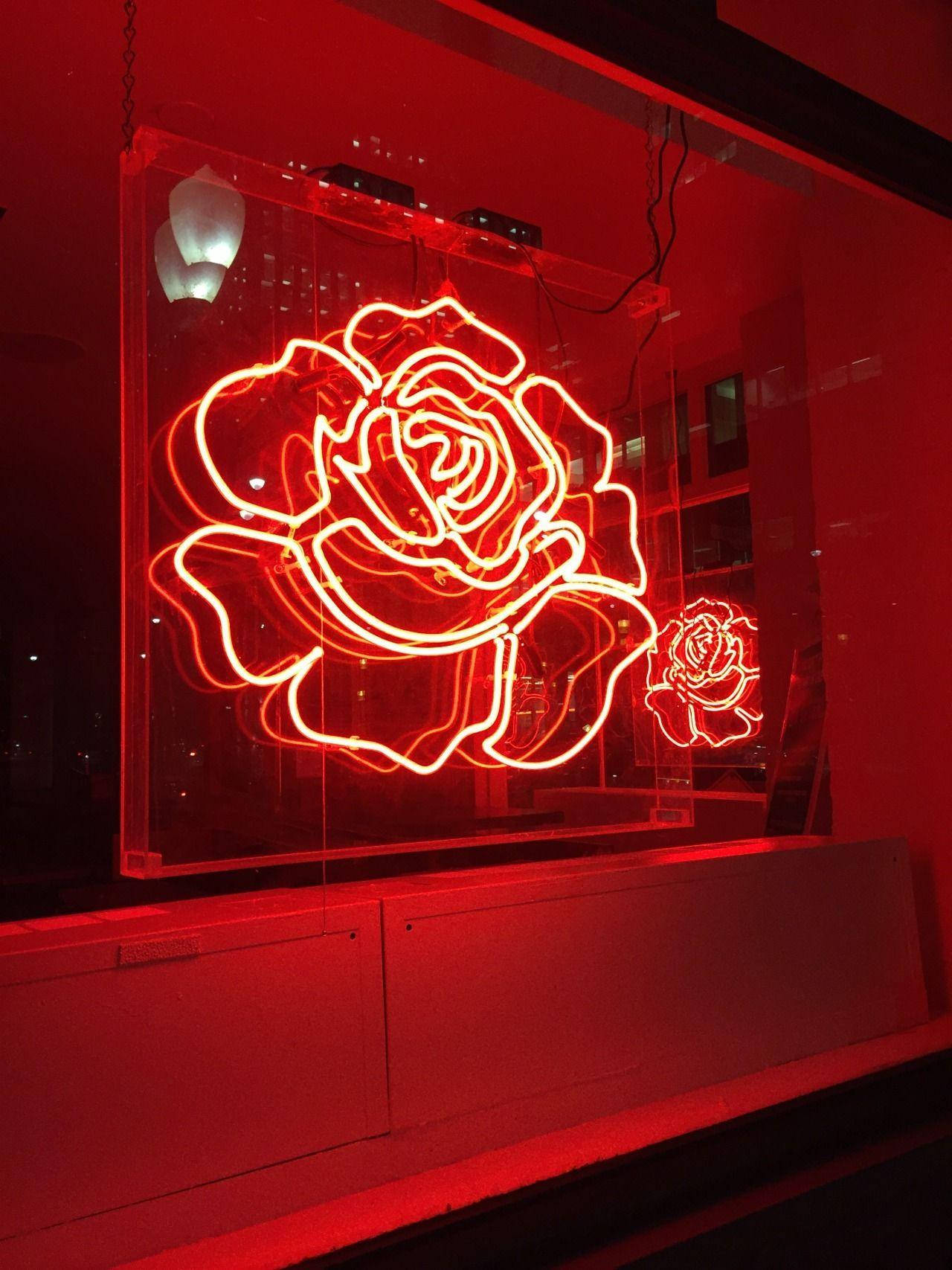 Red Aesthetic Neon Rose Display Background