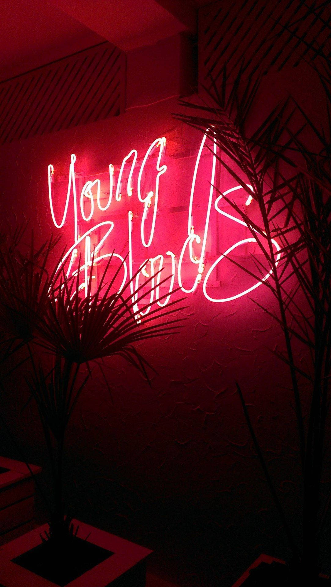 Red Aesthetic Neon Young Blood Background