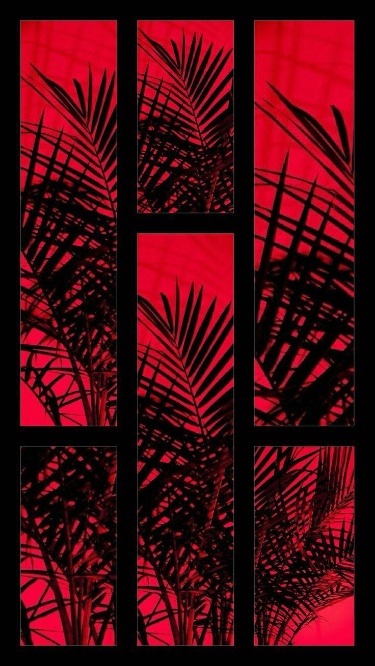 Red And Black Aesthetic Leaves Background