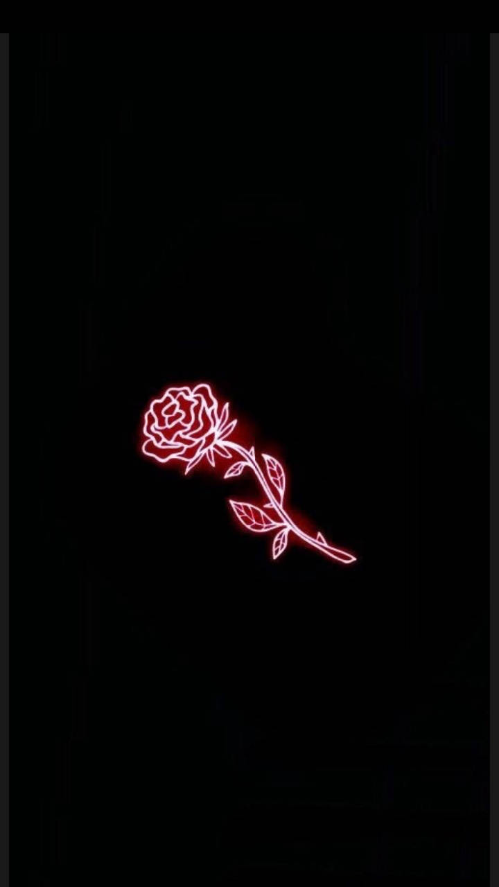 Red And Black Aesthetic Neon Rose Background