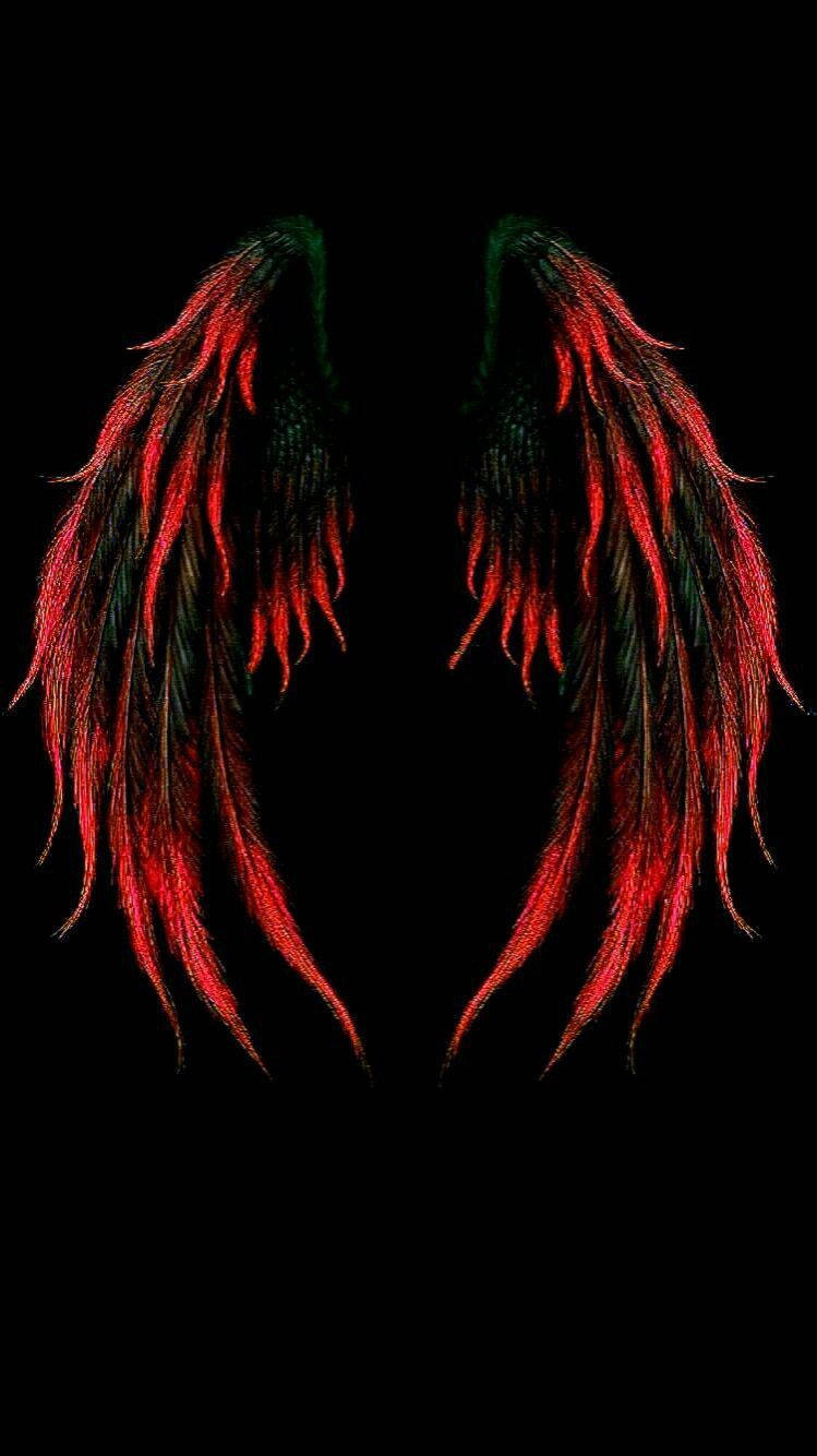 Red And Black Angel Wings Background