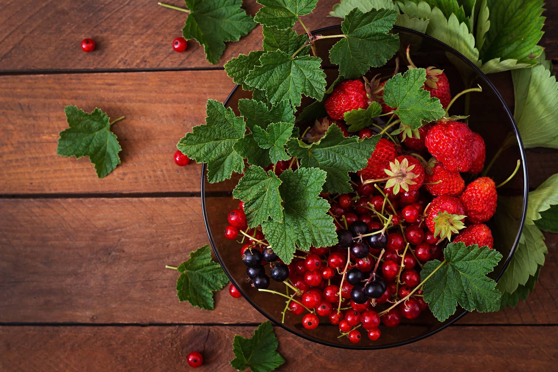 Red And Black Currant Berries Fresh Fruits