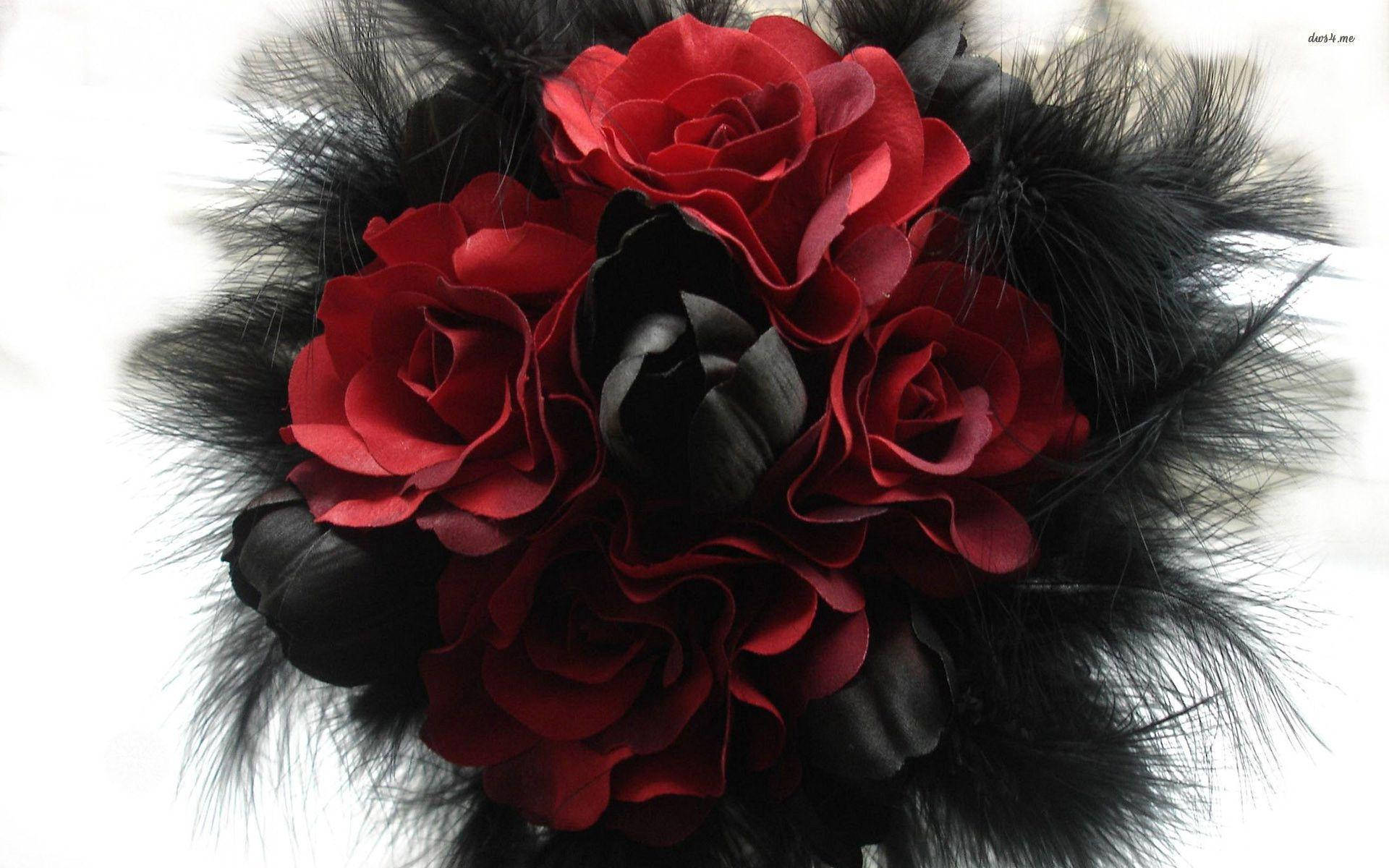 Red And Black Roses Background