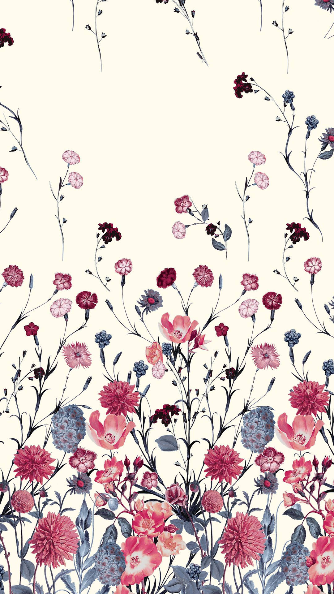 Red And Blue Floral Iphone Background