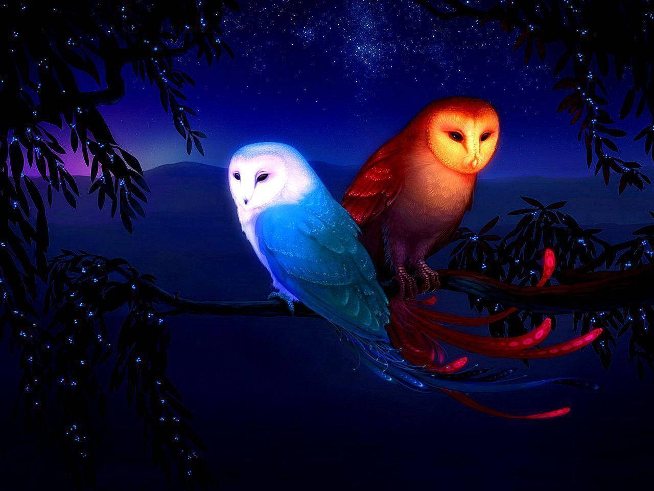 Red And Blue Owl Background