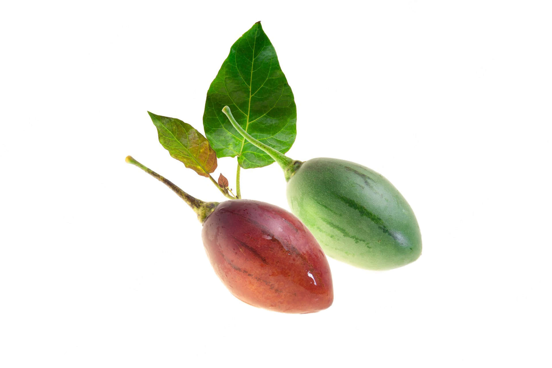 Red And Green Tamarillo Fruit