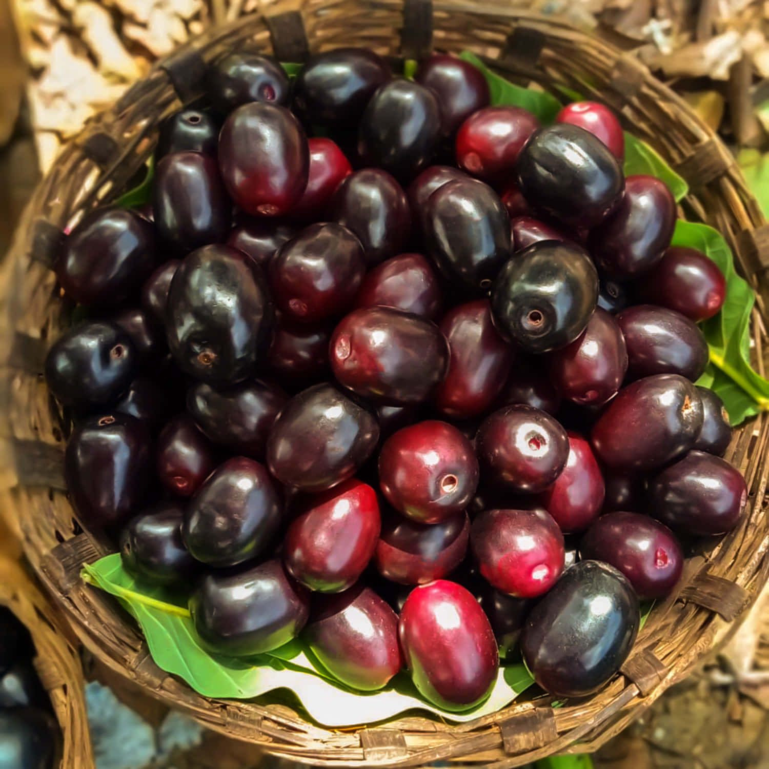 Red And Purple Java Plums Flat Lay Shot Background