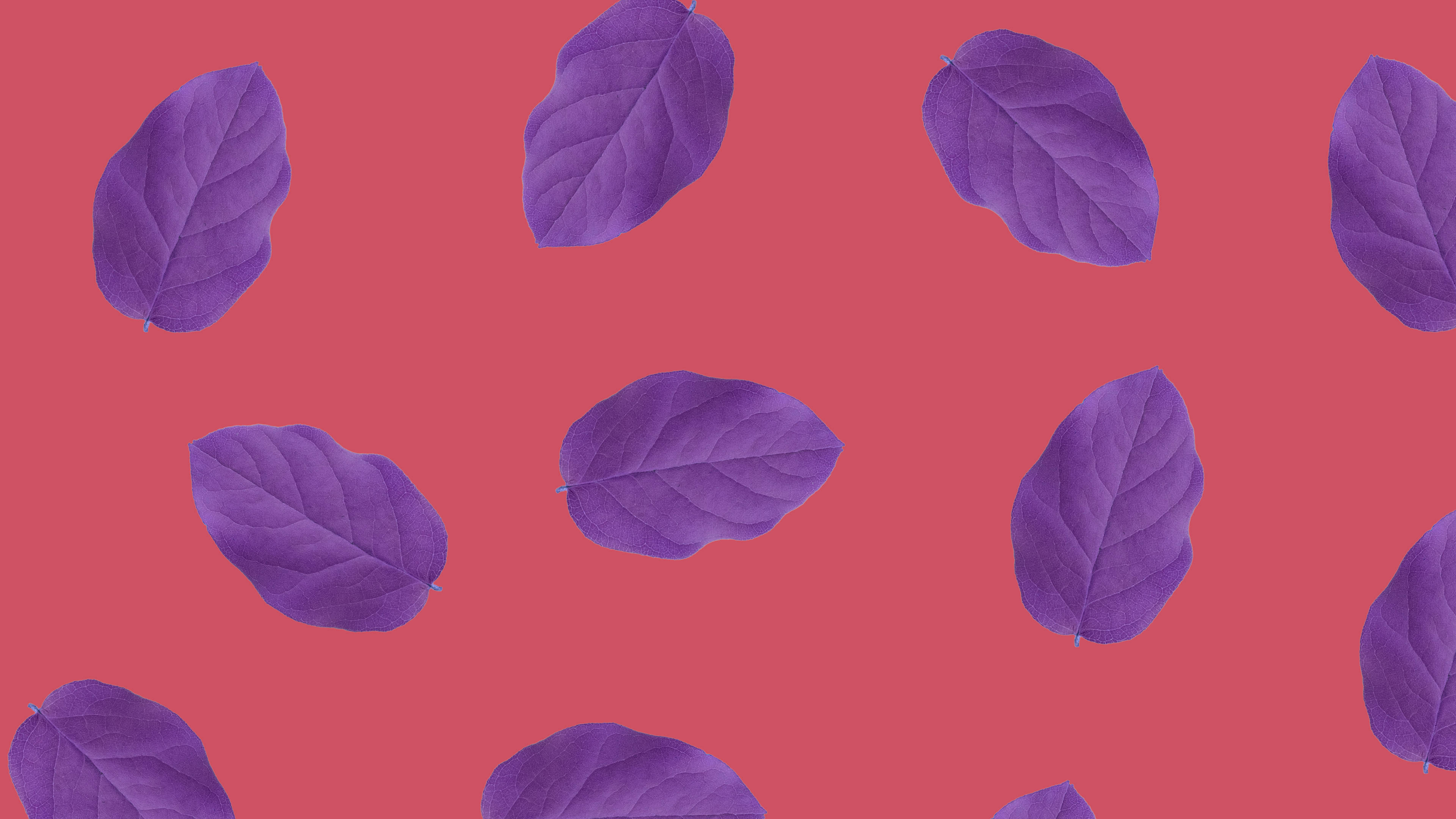 Red And Purple Minimalist Plant Background