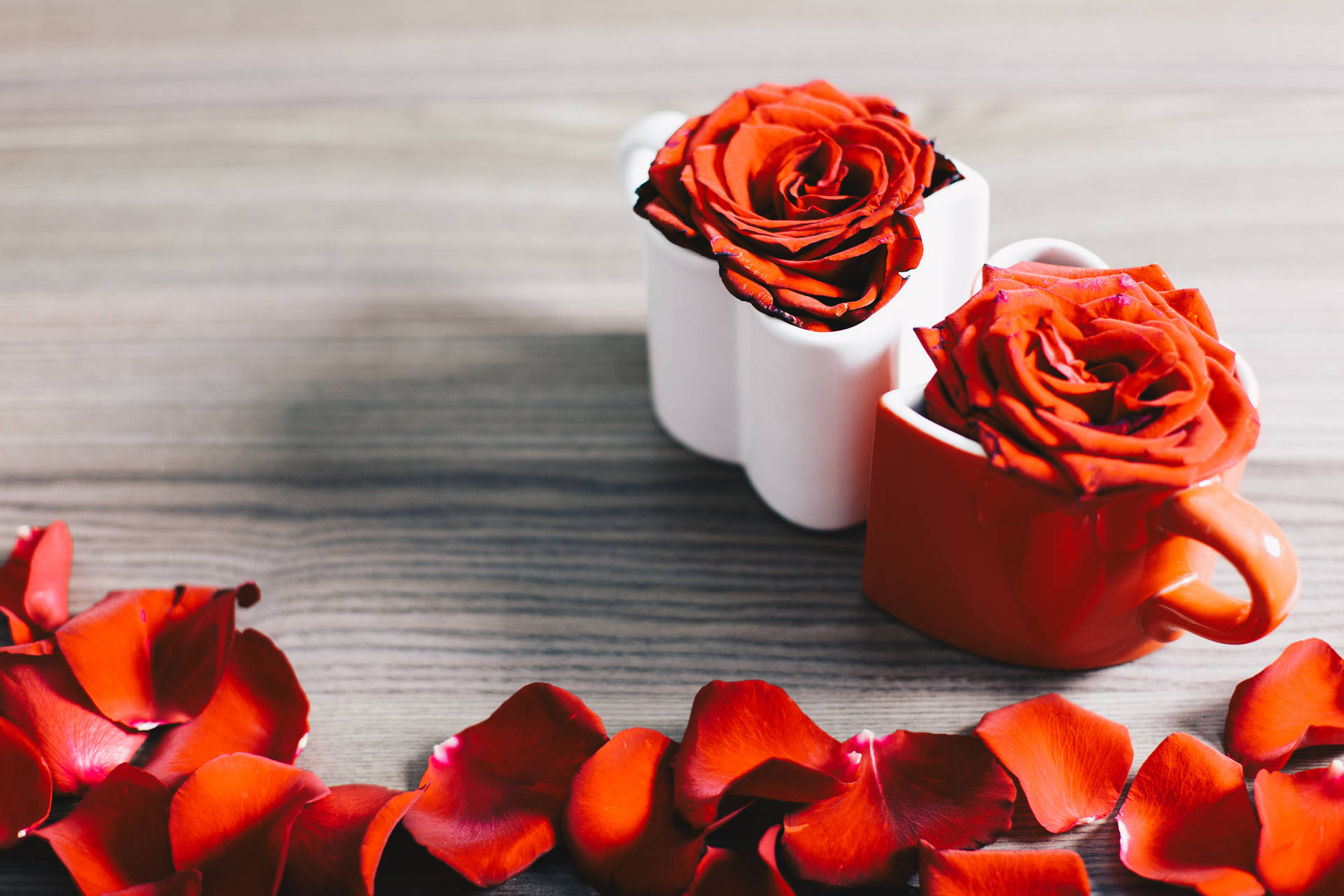 Red And White Aesthetic Rose Cups Background